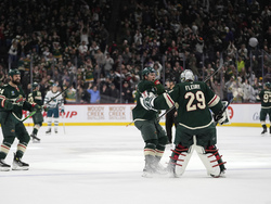 Sharks Wild Hockey