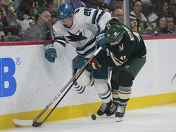 Sharks Wild Hockey