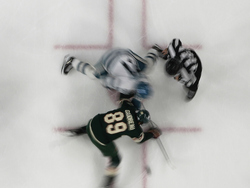 Sharks Wild Hockey