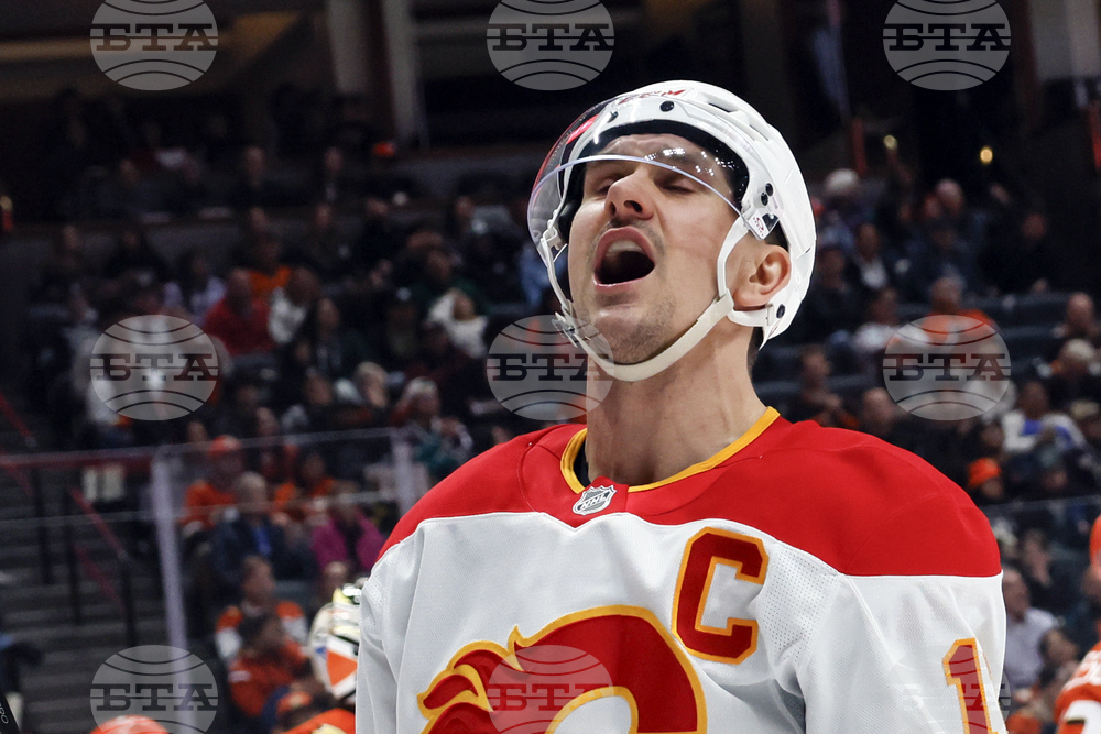 Flames Ducks Hockey