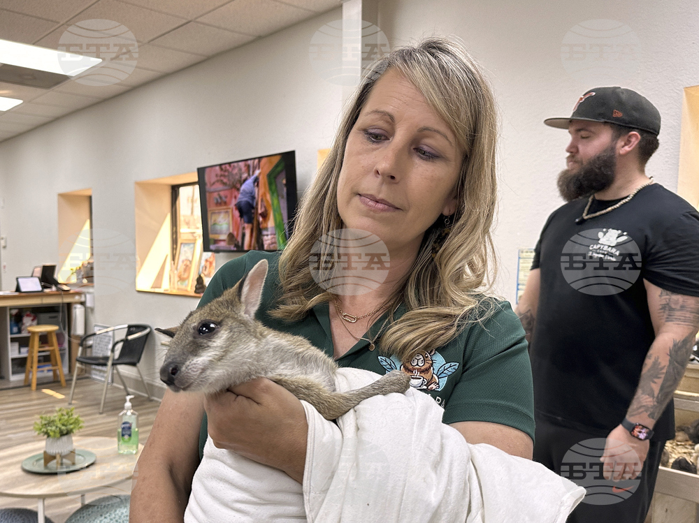 Capybara Cafe Florida