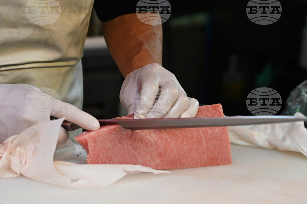 Japan Testing Tuna