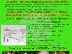 "Пролетни срещи с растенията" организира Ботаническата градина към БАН. Снимка: организаторите 