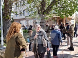 Ямбол - Седмица на гората - дръвчета - инициатива