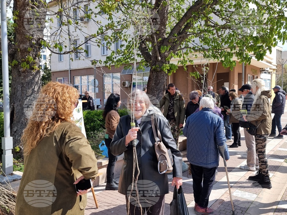Лесовъди раздадоха над 1000 дръвчета в Ямбол по случай Седмицата на гората