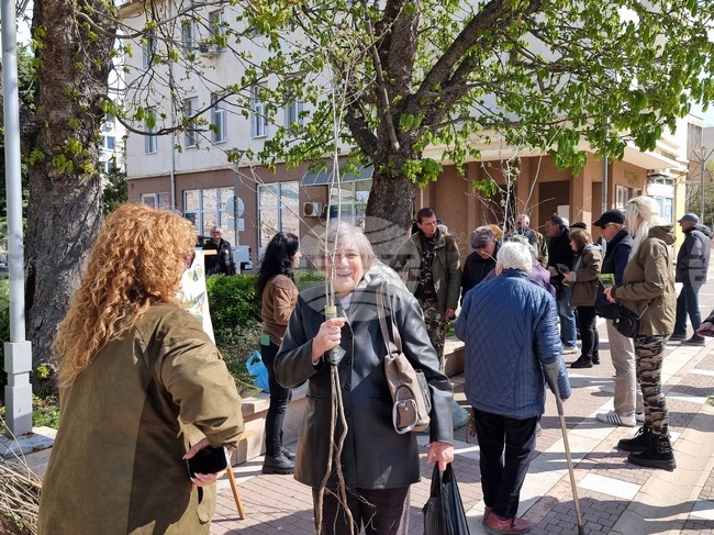 Ямбол - Седмица на гората - дръвчета - инициатива