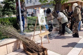 Ямбол - Седмица на гората - дръвчета - инициатива