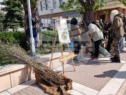 Ямбол - Седмица на гората - дръвчета - инициатива