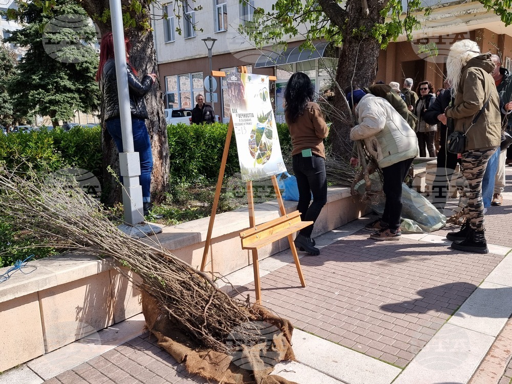 Ямбол - Седмица на гората - дръвчета - инициатива