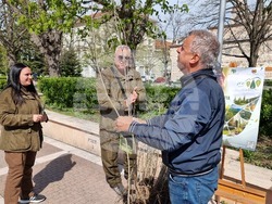 Ямбол - Седмица на гората - дръвчета - инициатива