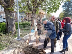 Ямбол - Седмица на гората - дръвчета - инициатива