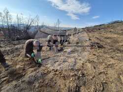 Снимка: Министерство на земеделието и храните
