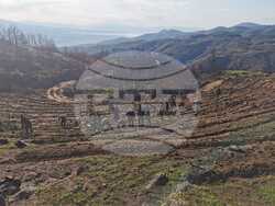 Снимка: Министерство на земеделието и храните