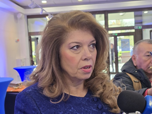 VP Iotova on Road Safety: Public Should Be Vigilant and Demanding