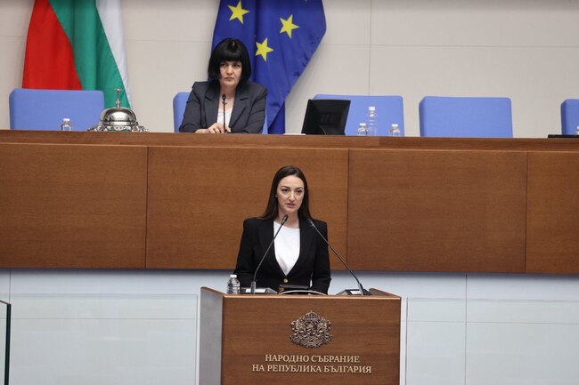 Лариса Савова: Законът за споделено родителство не отчита реалностите на българското семейство