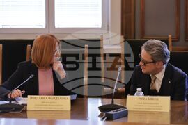 Народно събрание - Комисия по външна политика - заседание