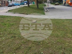 Снимка: Община Шумен