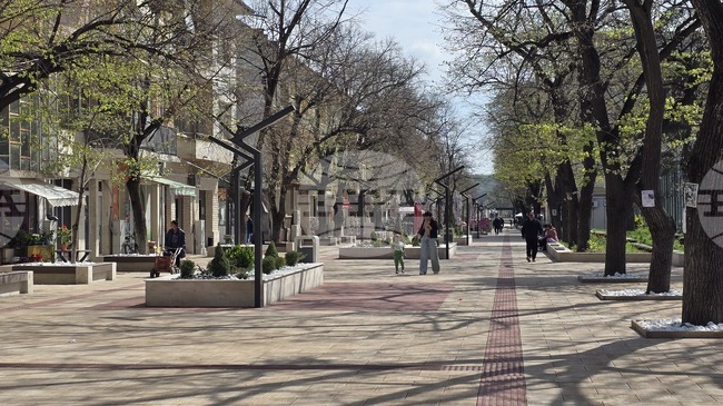 Шест заявления по проект "Избирам България" са подадени в Бюрото по труда в Бяла Слатина 