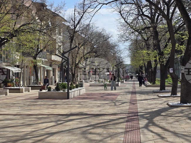 Около 46 млн. лева се очаква да бъде бюджетът на община Бяла Слатина, каза кметът Иво Цветков 