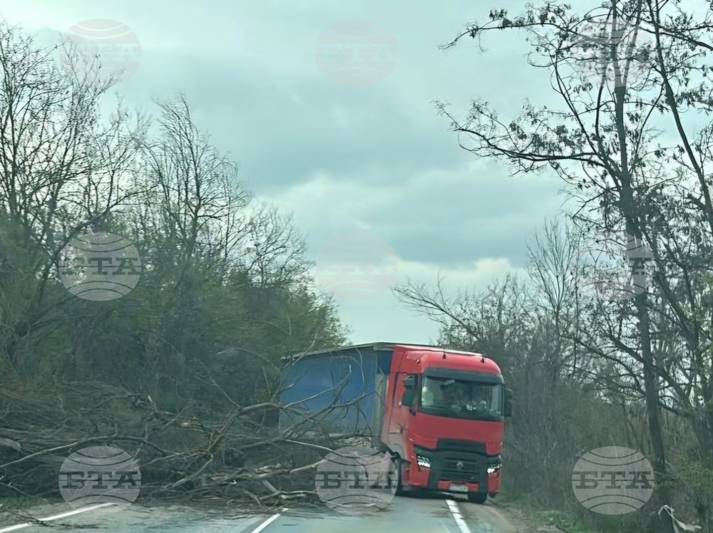 Ураганен вятър със скорост до 122 километра в час отчетоха в Русе 