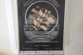 Изложба - „Анатомични перспективи. Археологическа дървесина от района на северната крепостна стена на Сердика“