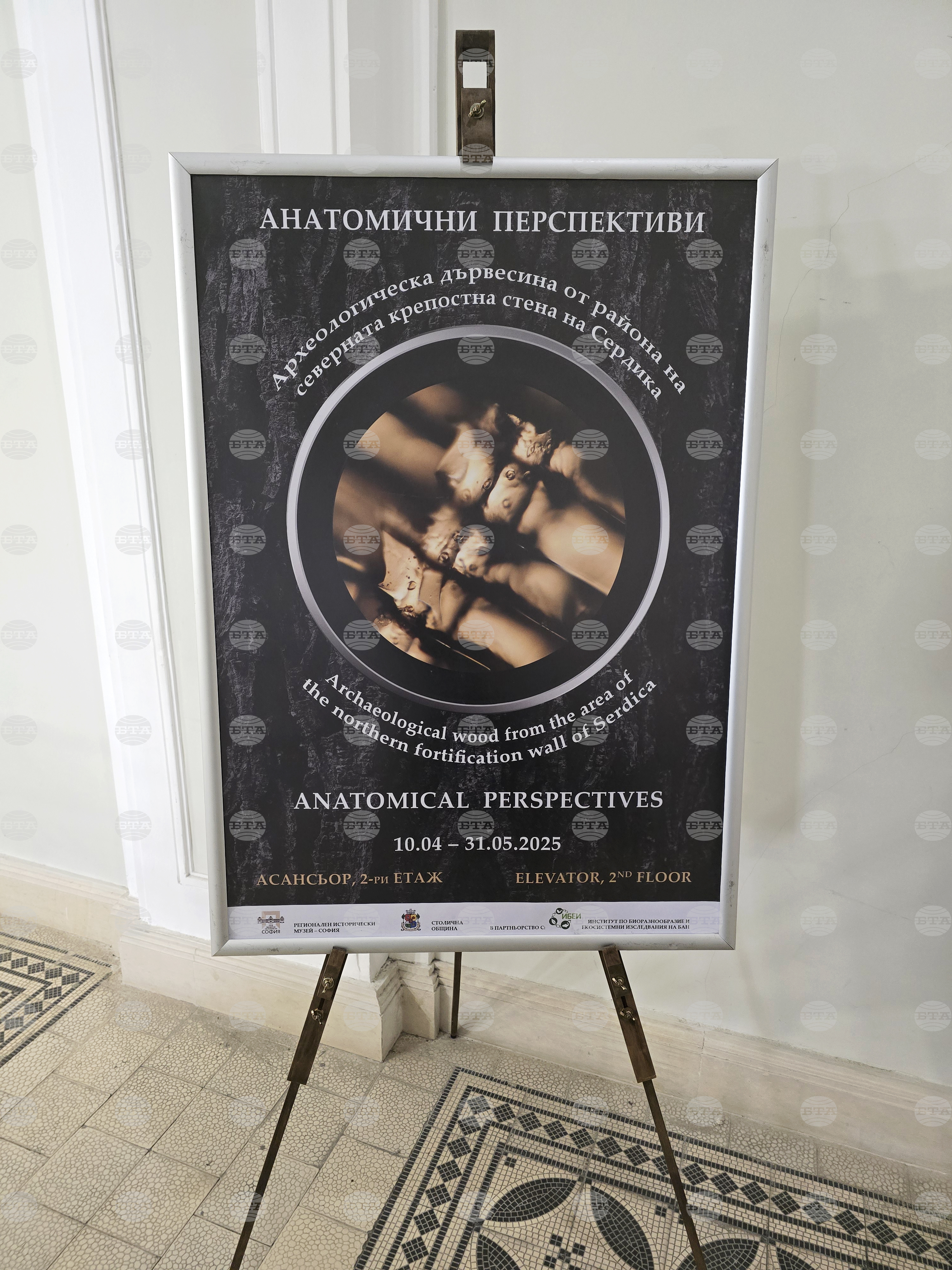 Изложба - „Анатомични перспективи. Археологическа дървесина от района на северната крепостна стена на Сердика“