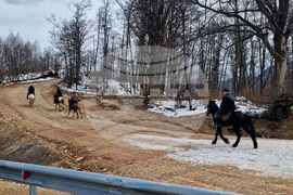 ГКПП „Рудозем – Ксанти“