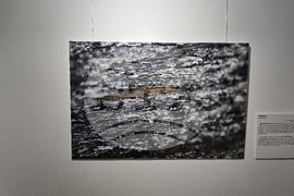 Изложба - „Анатомични перспективи. Археологическа дървесина от района на северната крепостна стена на Сердика“