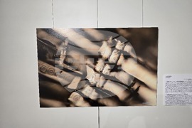 Изложба - „Анатомични перспективи. Археологическа дървесина от района на северната крепостна стена на Сердика“