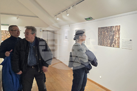 Изложба - „Анатомични перспективи. Археологическа дървесина от района на северната крепостна стена на Сердика“