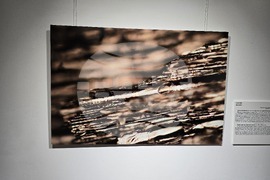 Изложба - „Анатомични перспективи. Археологическа дървесина от района на северната крепостна стена на Сердика“