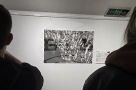 Изложба - „Анатомични перспективи. Археологическа дървесина от района на северната крепостна стена на Сердика“