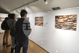 Изложба - „Анатомични перспективи. Археологическа дървесина от района на северната крепостна стена на Сердика“