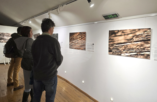 Изложба - „Анатомични перспективи. Археологическа дървесина от района на северната крепостна стена на Сердика“