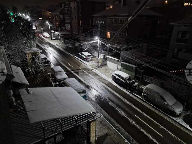 Паднали дървета заради силния вятър и сняг предизвикаха проблеми върху електроразпределителната мрежа в Разградско 
