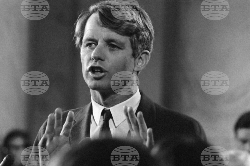 Trump Assassination Files