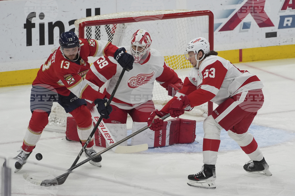 Red Wings Panthers Hockey