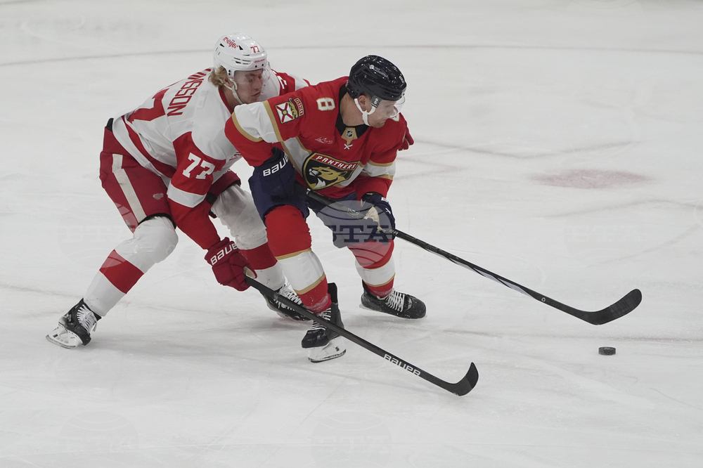 Red Wings Panthers Hockey