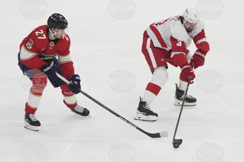 Red Wings Panthers Hockey