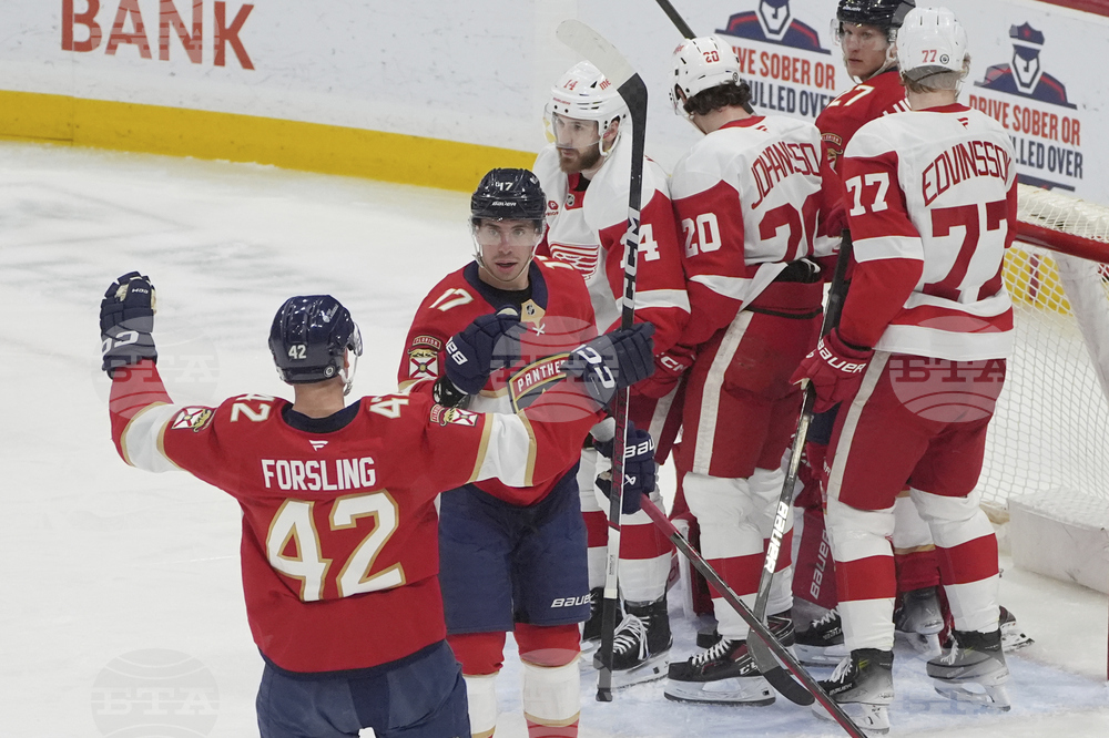 Red Wings Panthers Hockey