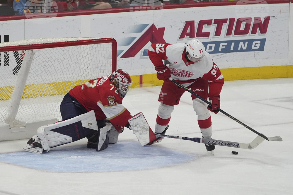 Red Wings Panthers Hockey