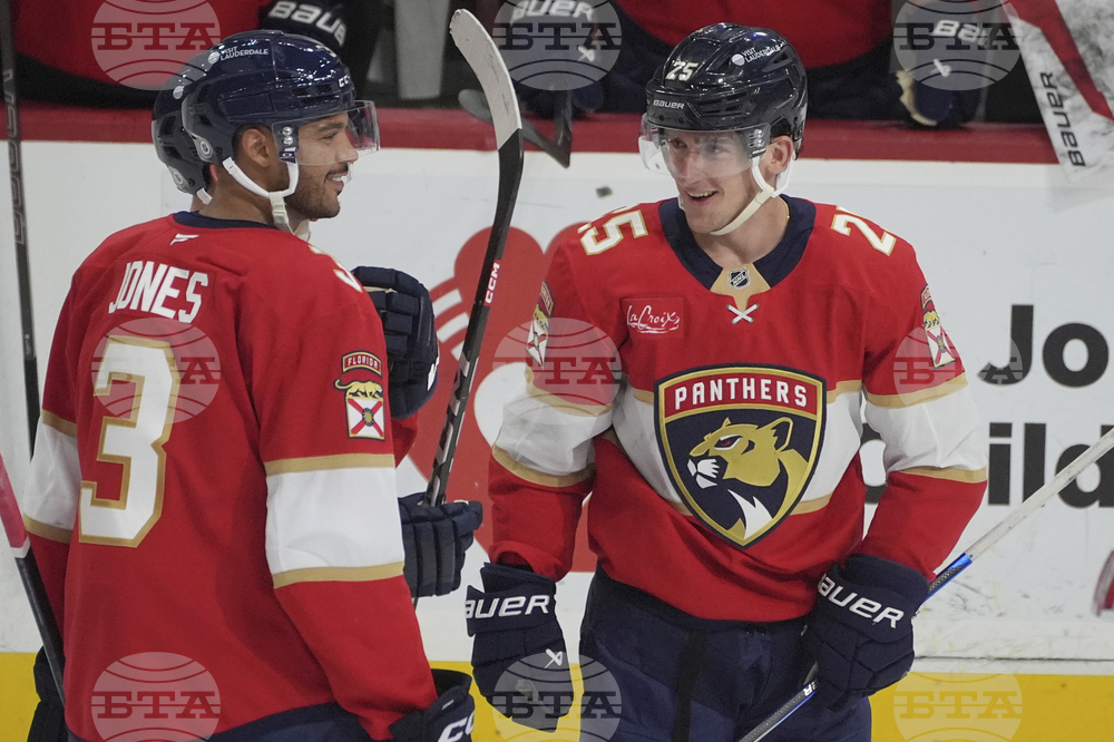 Red Wings Panthers Hockey