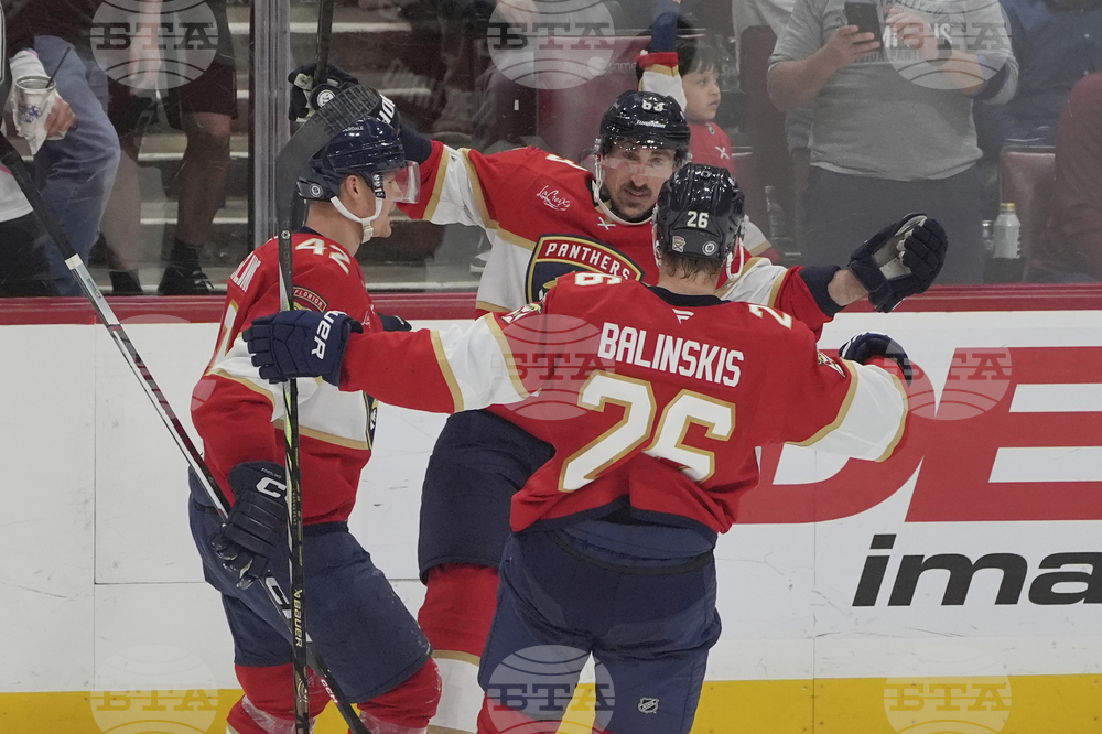 Red Wings Panthers Hockey
