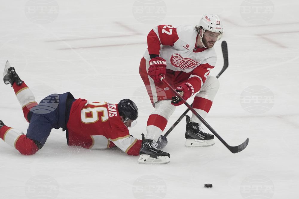 Red Wings Panthers Hockey