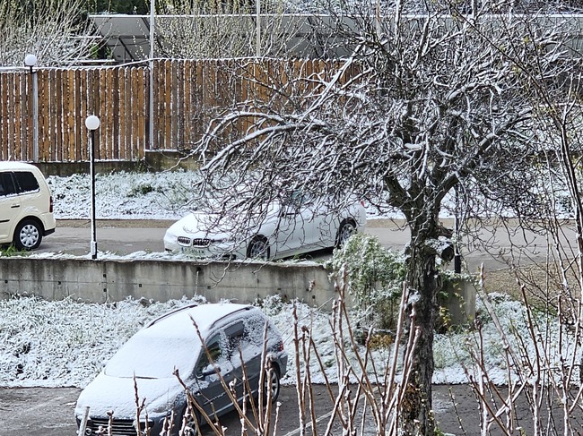 Снежната покривка в Русе е един сантиметър, няма проблеми с електрозахранването и придвижването в региона
