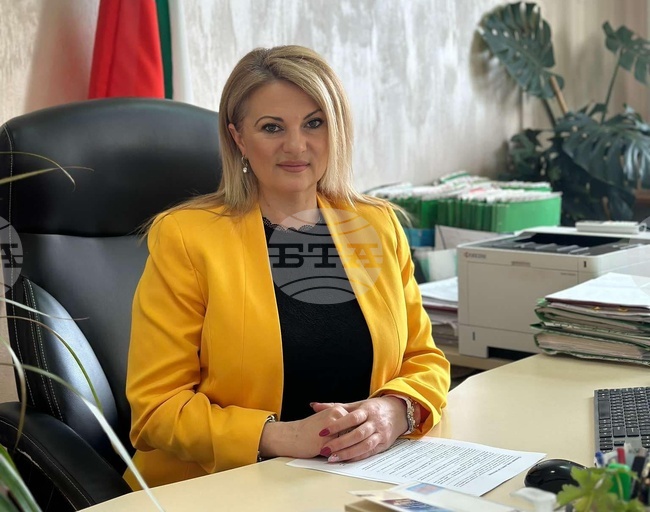 Около 20% от делата, образувани в Районния съд в Плевен, са за шофиране след употреба на алкохол или наркотици, каза съдия Вера Найденова