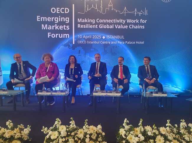 Deputy Foreign Minister Angelieva Attends OECD's Inaugural Emerging Markets Forum