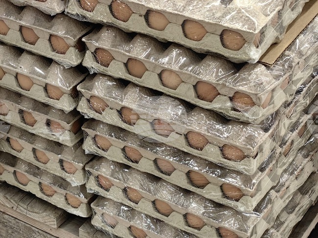 В широк диапазон са цените на козунака и на яйцата в Старозагорско седмица преди Великден