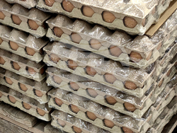 Стара Загора - Великден - магазини