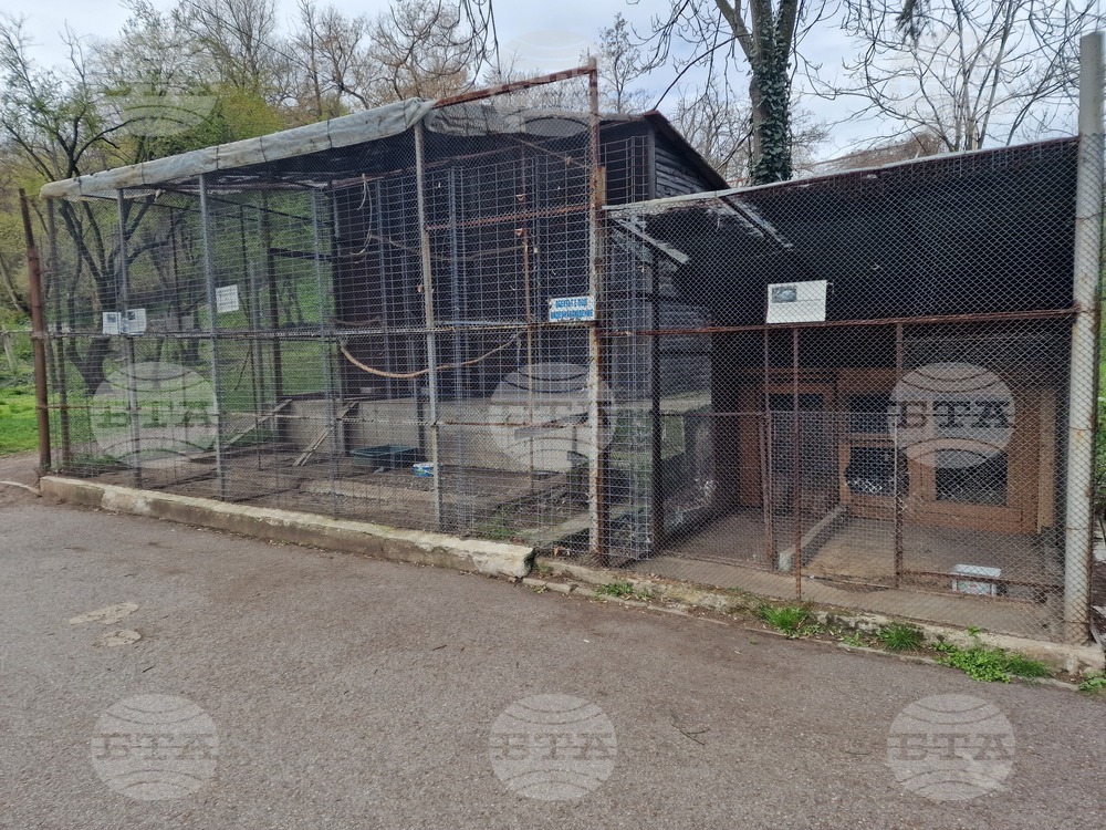 Иззети са животните от зоокъта в Централния градски парк в Перник, съобщи говорителят на администрацията 